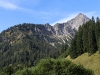 natur_38