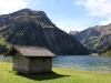 natur_40